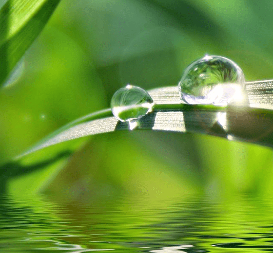 坚持可持续发展战略 坚持可持续发展战略